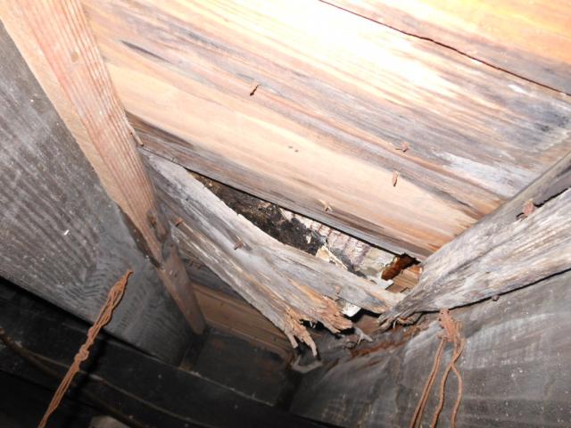 Damaged sub floor under home