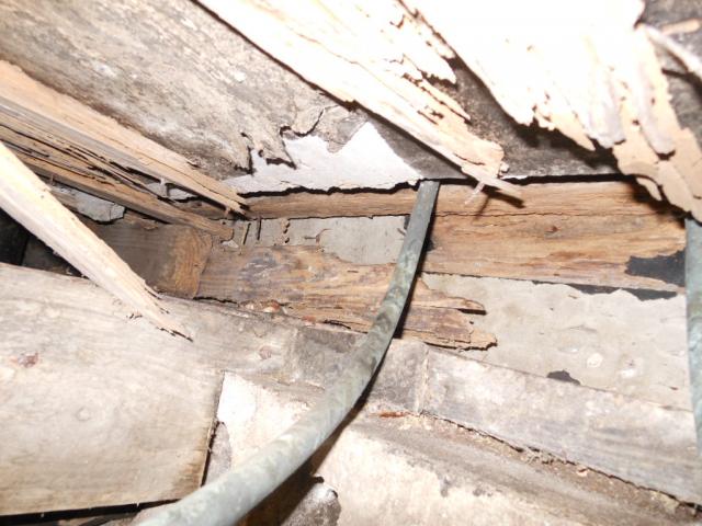 Damaged floor joist and sub-flooring