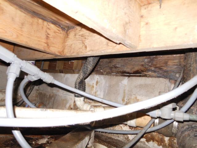 Improper Plumbing Under Home